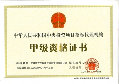 中央投资招标代理资质证