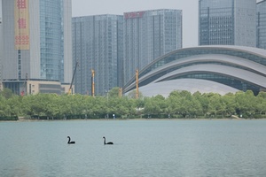 天鹅湖体育公园